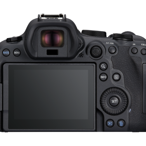 CANON EOS R6 MARK II BODY
