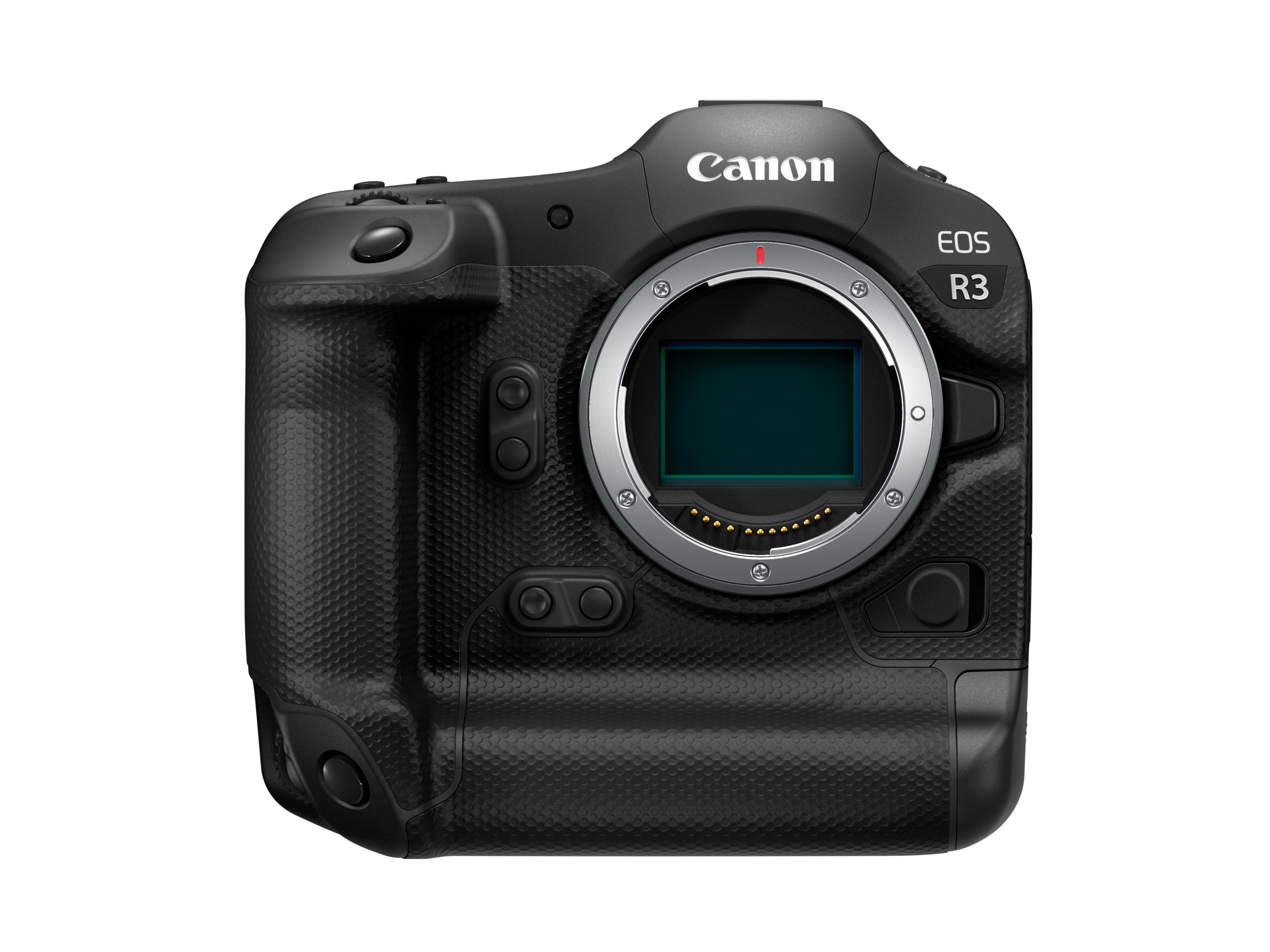 canon r3 body