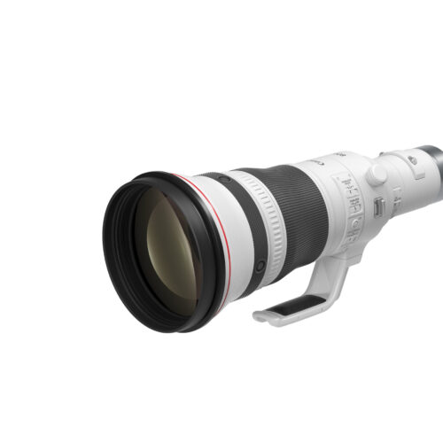 RF800mm F5.6 L IS USM