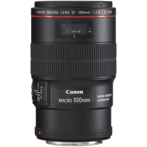 EF 100/2.8L Macro IS USM